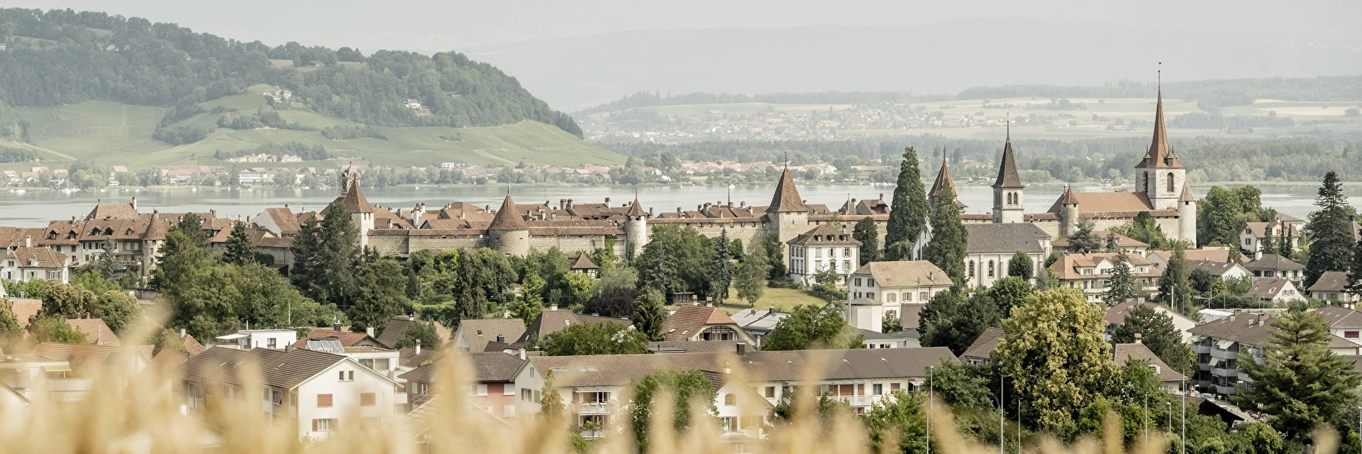 Murten 3.jpeg